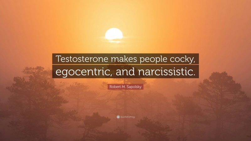 Robert M. Sapolsky Quote: “Testosterone makes people cocky, egocentric, and narcissistic.”
