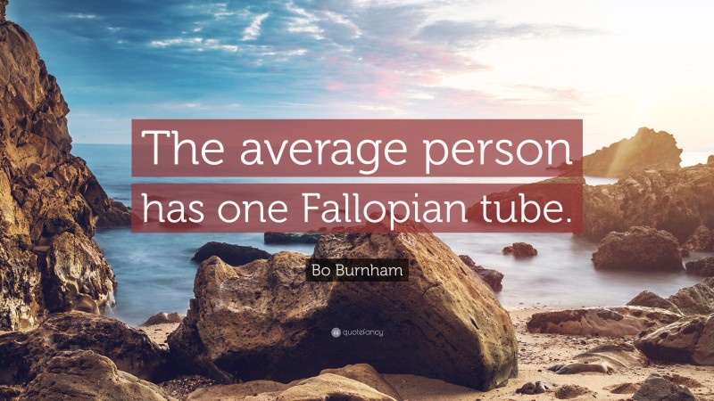 Bo Burnham Quote: “The average person has one Fallopian tube.”