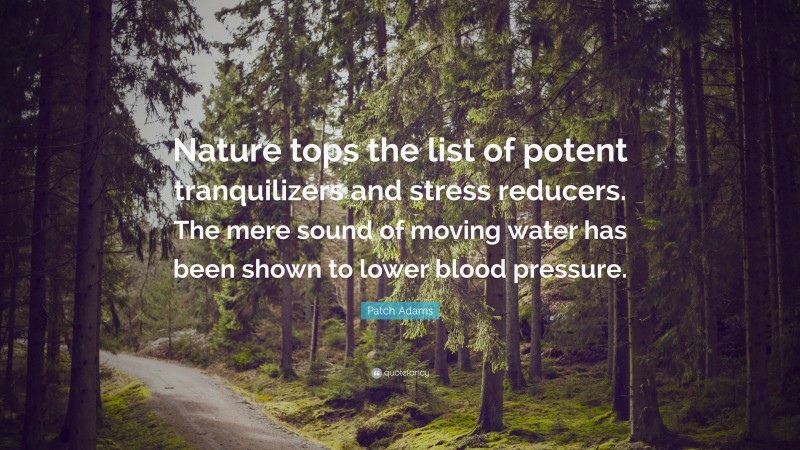 Patch Adams Quote: “Nature tops the list of potent tranquilizers and stress reducers. The mere sound of moving water has been shown to lower blood pressure.”