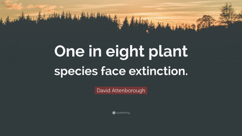 David Attenborough Quote: “One in eight plant species face extinction.”