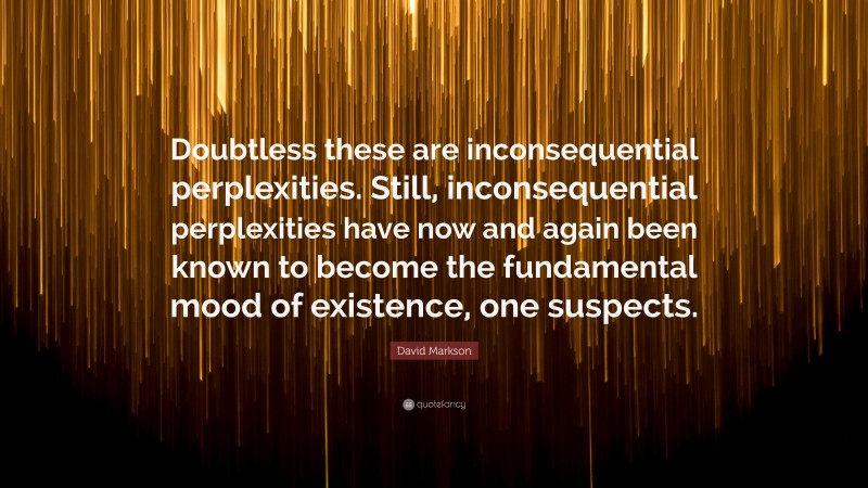 David Markson Quote: “Doubtless these are inconsequential perplexities. Still, inconsequential perplexities have now and again been known to become the fundamental mood of existence, one suspects.”