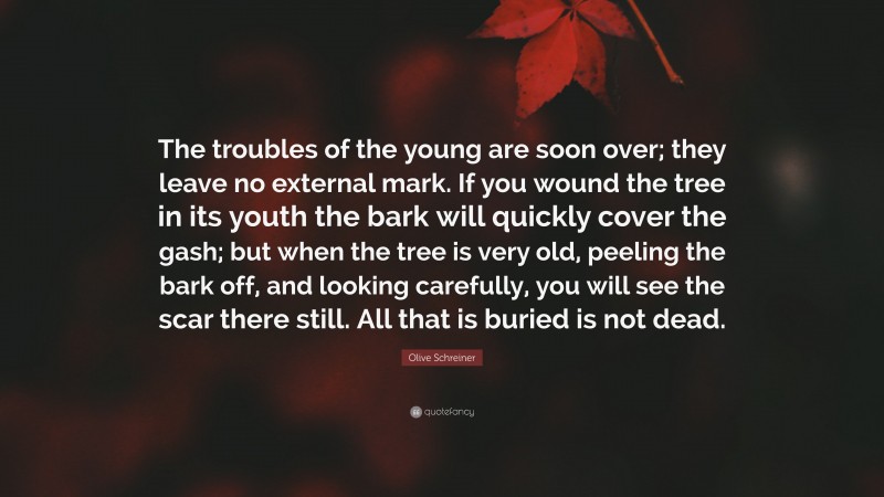 Olive Schreiner Quote: “The troubles of the young are soon over; they leave no external mark. If you wound the tree in its youth the bark will quickly cover the gash; but when the tree is very old, peeling the bark off, and looking carefully, you will see the scar there still. All that is buried is not dead.”