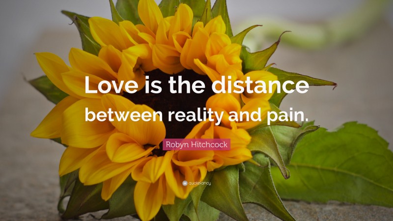 Robyn Hitchcock Quote: “Love is the distance between reality and pain.”