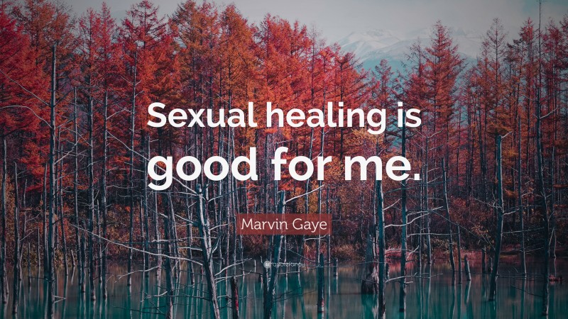 Marvin Gaye Quote: “Sexual healing is good for me.”