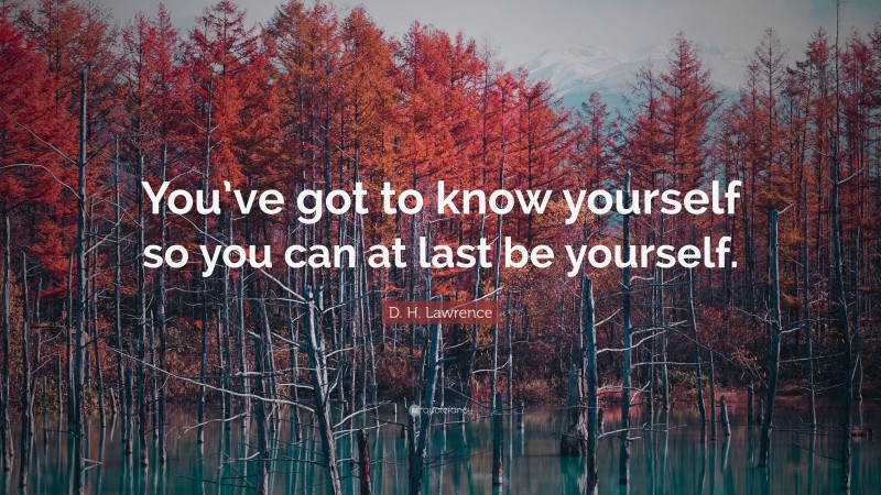 D. H. Lawrence Quote: “You’ve got to know yourself so you can at last be yourself.”