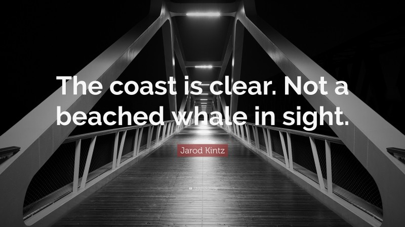 Jarod Kintz Quote: “The coast is clear. Not a beached whale in sight.”