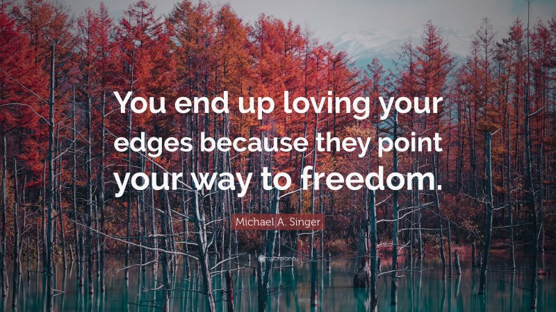 Michael A. Singer Quote: “You end up loving your edges because they point your way to freedom.”
