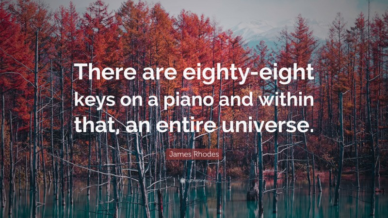 James Rhodes Quote: “There are eighty-eight keys on a piano and within that, an entire universe.”