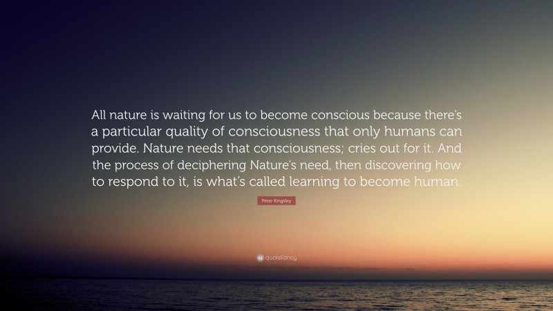 Peter Kingsley Quote: “All nature is waiting for us to become conscious because there’s a particular quality of consciousness that only humans can provide. Nature needs that consciousness; cries out for it. And the process of deciphering Nature’s need, then discovering how to respond to it, is what’s called learning to become human.”