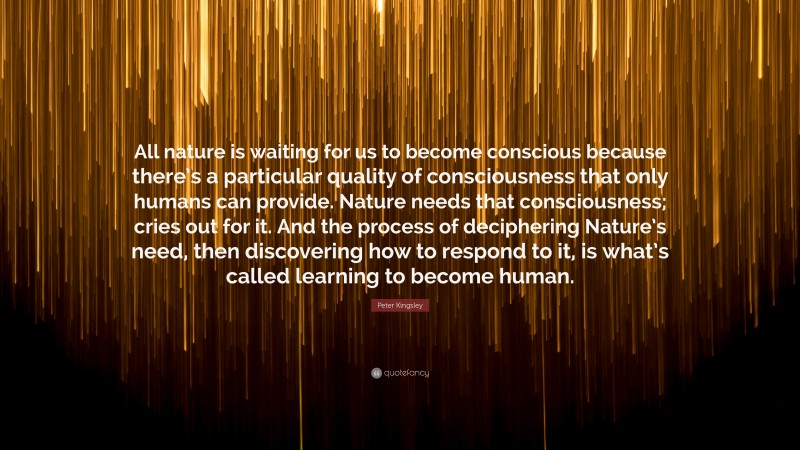 Peter Kingsley Quote: “All nature is waiting for us to become conscious because there’s a particular quality of consciousness that only humans can provide. Nature needs that consciousness; cries out for it. And the process of deciphering Nature’s need, then discovering how to respond to it, is what’s called learning to become human.”