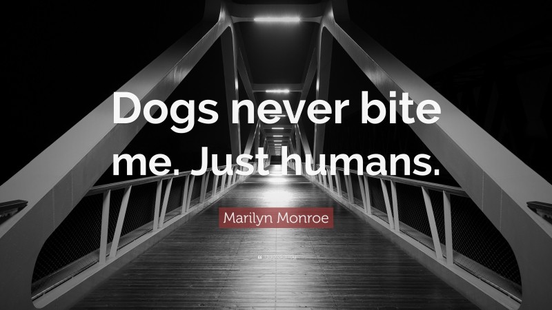 Marilyn Monroe Quote: “Dogs never bite me. Just humans.”