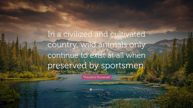 Theodore Roosevelt Quote: “In a civilized and cultivated country, wild animals only continue to exist at all when preserved by sportsmen.”