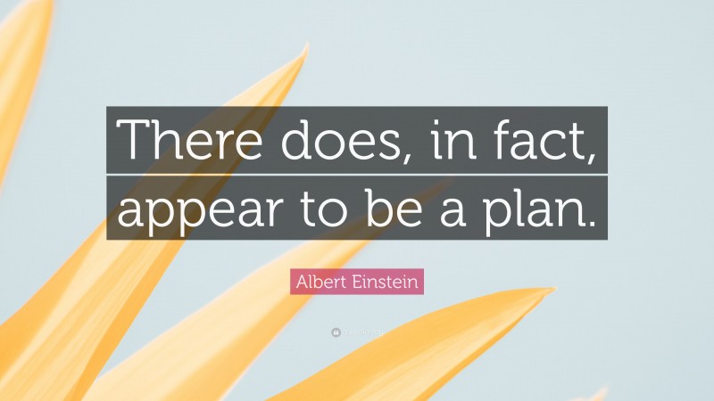 Albert Einstein Quote: “There does, in fact, appear to be a plan.”