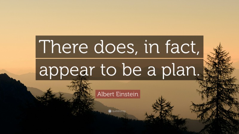 Albert Einstein Quote: “There does, in fact, appear to be a plan.”