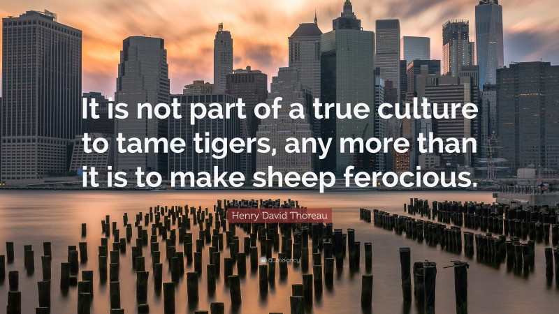 Henry David Thoreau Quote: “It is not part of a true culture to tame tigers, any more than it is to make sheep ferocious.”