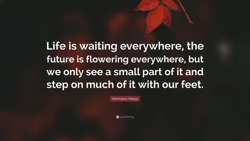 Hermann Hesse Quote: “Life is waiting everywhere, the future is flowering everywhere, but we only see a small part of it and step on much of it with our feet.”