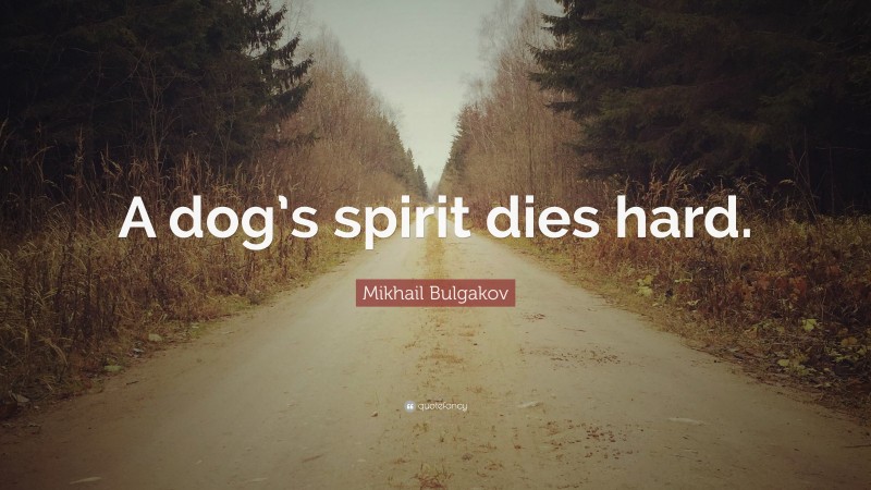 Mikhail Bulgakov Quote: “A dog’s spirit dies hard.”