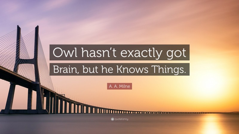 A. A. Milne Quote: “Owl hasn’t exactly got Brain, but he Knows Things.”