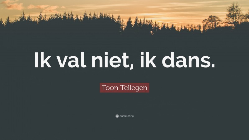 Toon Tellegen Quote: “Ik val niet, ik dans.”