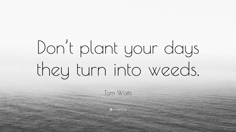 Tom Waits Quote: “Don’t plant your days they turn into weeds.”