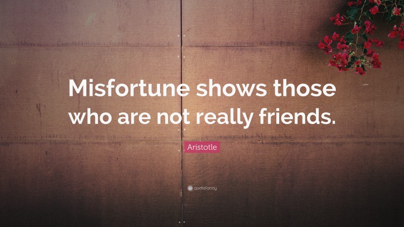 Aristotle Quote: “Misfortune shows those who are not really friends.”