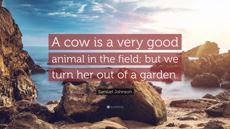 Samuel Johnson Quote: “A cow is a very good animal in the field; but we turn her out of a garden.”