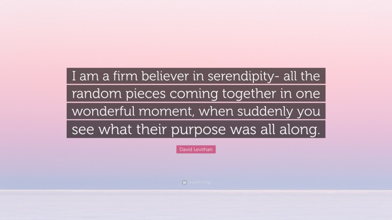 David Levithan Quote: “I am a firm believer in serendipity- all the random pieces coming together in one wonderful moment, when suddenly you see what their purpose was all along.”