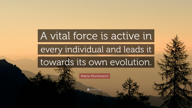 Maria Montessori Quote: “A vital force is active in every individual and leads it towards its own evolution.”