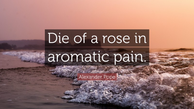 Alexander Pope Quote: “Die of a rose in aromatic pain.”
