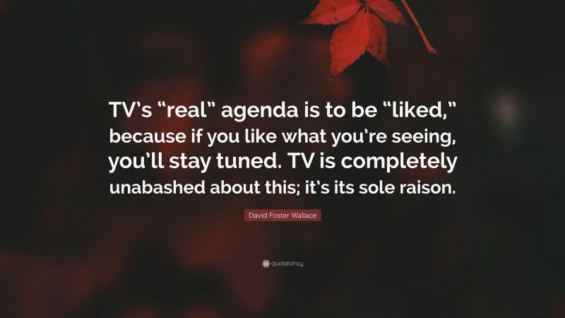 David Foster Wallace Quote: “TV’s “real” agenda is to be “liked,” because if you like what you’re seeing, you’ll stay tuned. TV is completely unabashed about this; it’s its sole raison.”