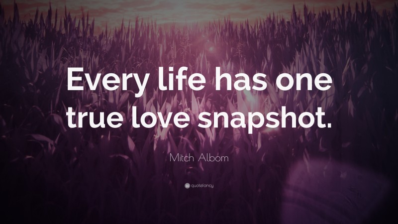 Mitch Albom Quote: “Every life has one true love snapshot.”