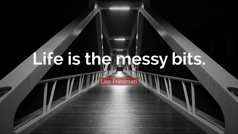 Lise Friedman Quote: “Life is the messy bits.”
