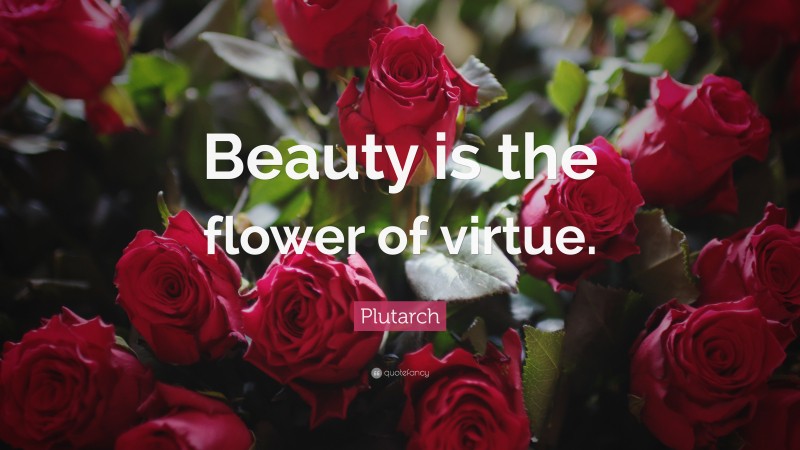 Plutarch Quote: “Beauty is the flower of virtue.”