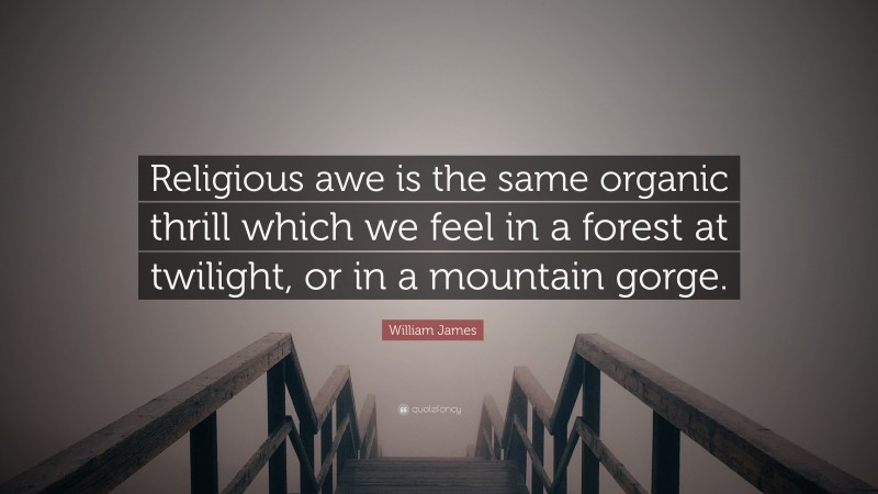 William James Quote: “Religious awe is the same organic thrill which we feel in a forest at twilight, or in a mountain gorge.”