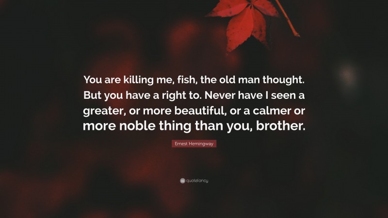 Ernest Hemingway Quote: “You are killing me, fish, the old man thought. But you have a right to. Never have I seen a greater, or more beautiful, or a calmer or more noble thing than you, brother.”