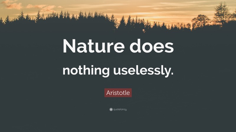 Aristotle Quote: “Nature does nothing uselessly.”