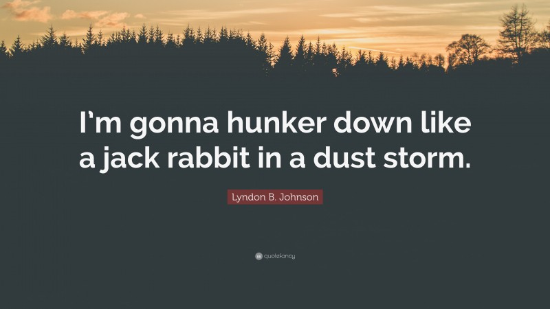Lyndon B. Johnson Quote: “I’m gonna hunker down like a jack rabbit in a dust storm.”