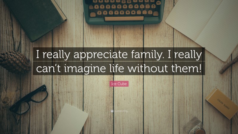 Ice Cube Quote: “I really appreciate family. I really can’t imagine life without them!”