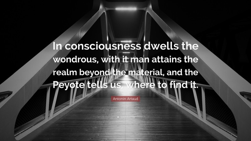 Antonin Artaud Quote: “In consciousness dwells the wondrous, with it man attains the realm beyond the material, and the Peyote tells us, where to find it.”
