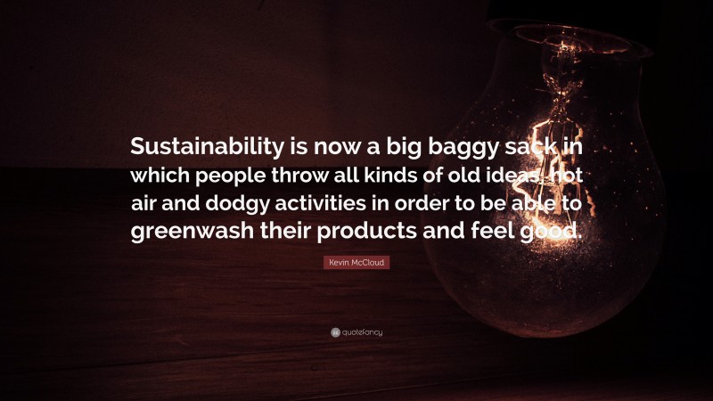 Kevin McCloud Quote: “Sustainability is now a big baggy sack in which people throw all kinds of old ideas, hot air and dodgy activities in order to be able to greenwash their products and feel good.”