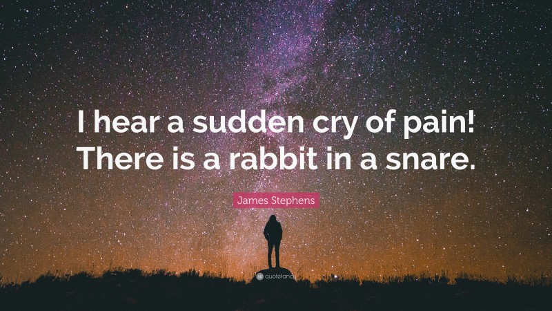James Stephens Quote: “I hear a sudden cry of pain! There is a rabbit in a snare.”