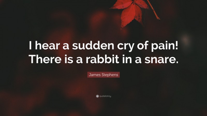 James Stephens Quote: “I hear a sudden cry of pain! There is a rabbit in a snare.”