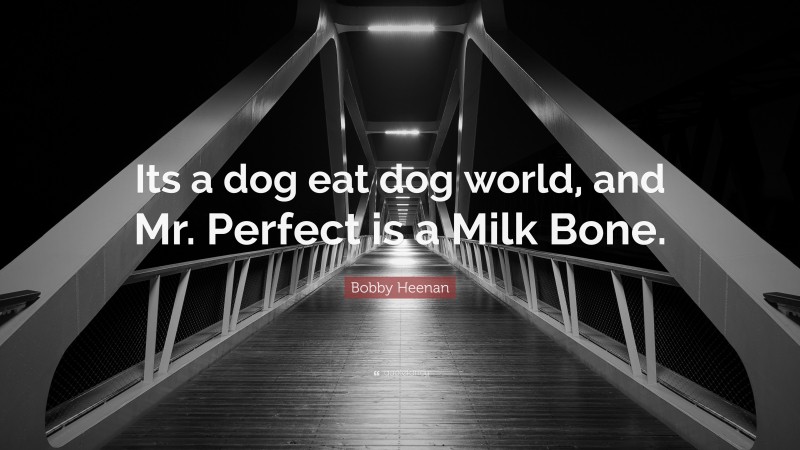 Bobby Heenan Quote: “Its a dog eat dog world, and Mr. Perfect is a Milk Bone.”