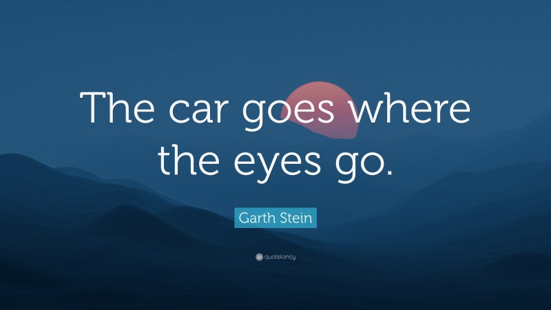 Garth Stein Quote: “The car goes where the eyes go.”