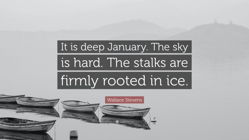 Wallace Stevens Quote: “It is deep January. The sky is hard. The stalks are firmly rooted in ice.”