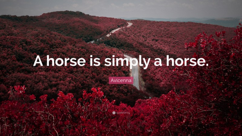 Avicenna Quote: “A horse is simply a horse.”