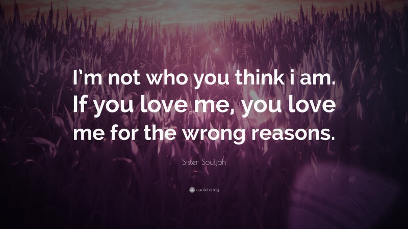 Sister Souljah Quote: “I’m not who you think i am. If you love me, you love me for the wrong reasons.”