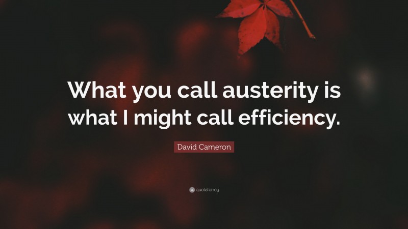 David Cameron Quote: “What you call austerity is what I might call efficiency.”