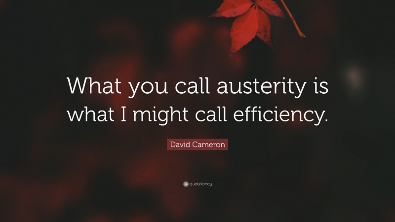 David Cameron Quote: “What you call austerity is what I might call efficiency.”