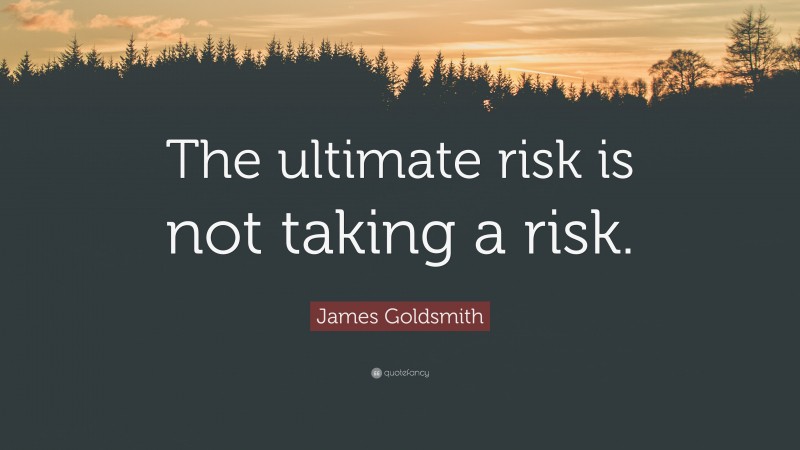 James Goldsmith Quote: “The ultimate risk is not taking a risk.”